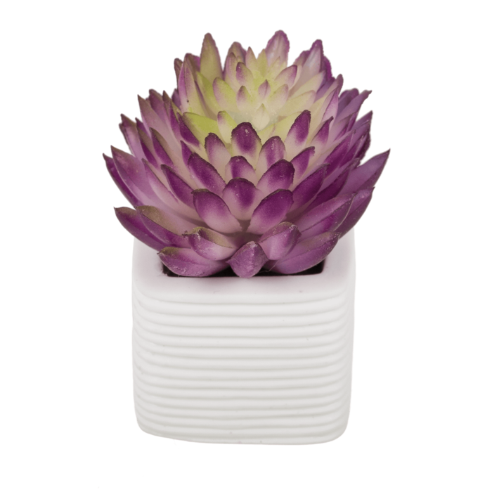 Magnet, succulent in white pot, - Image 4