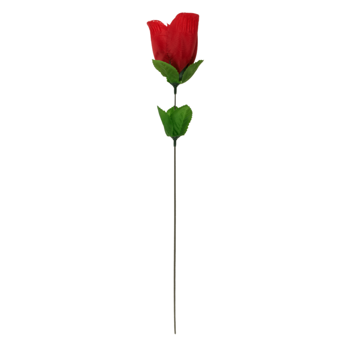 Rose with red G-string, - Image 4