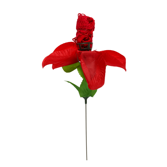 Rose with red G-string, - Image 2