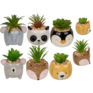 Decoration succulent in pot, Animals,