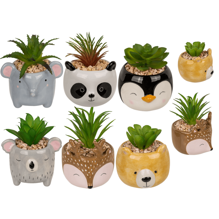 Decoration succulent in pot, Animals,