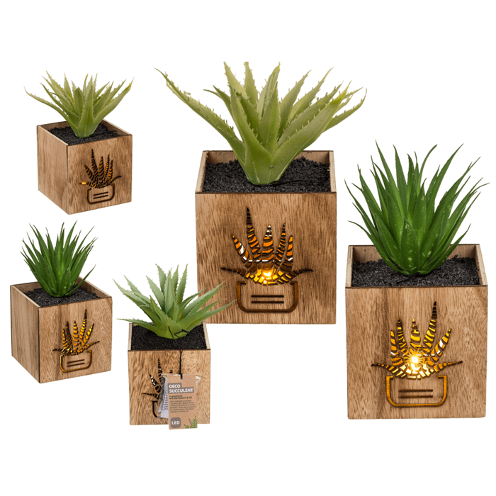 Deco Succulent,