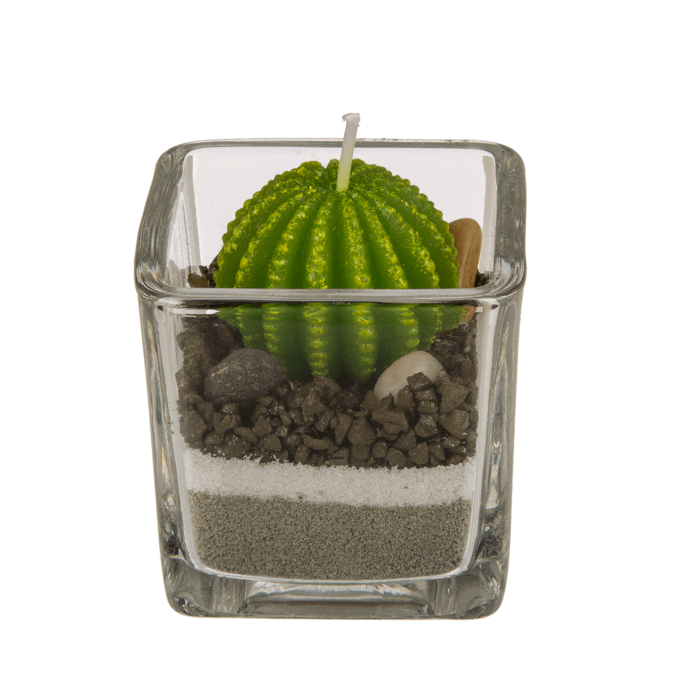 Candle in glass, Cactus with sand & stone deco, - Image 3