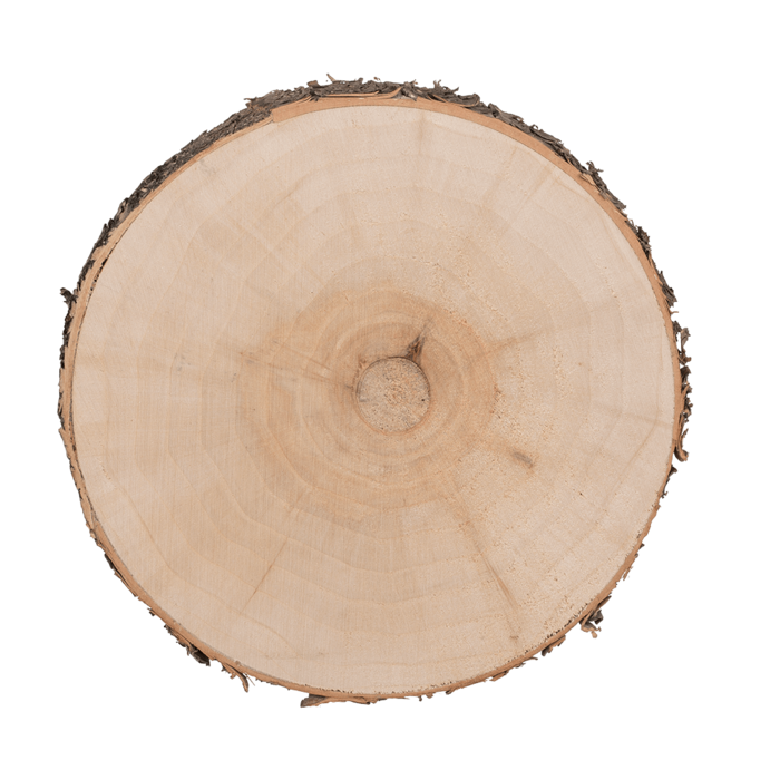 Wooden decoration slice, - Image 2