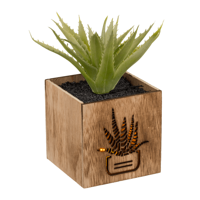 Deco Succulent, - Image 4