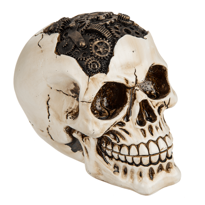 Polyresin skull, Cyborg Skull, - Image 4