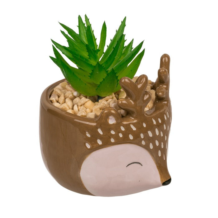 Decoration succulent in pot, Animals, - Image 3