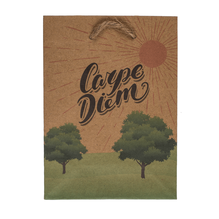 Kraft paper bag, motivational wordings, - Image 4