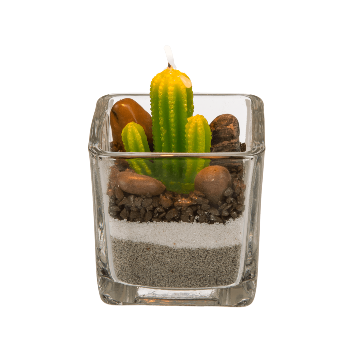 Candle in glass, Cactus with sand & stone deco, - Image 4