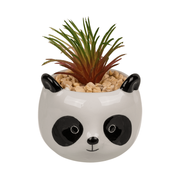 Decoration succulent in pot, Animals, - Image 4