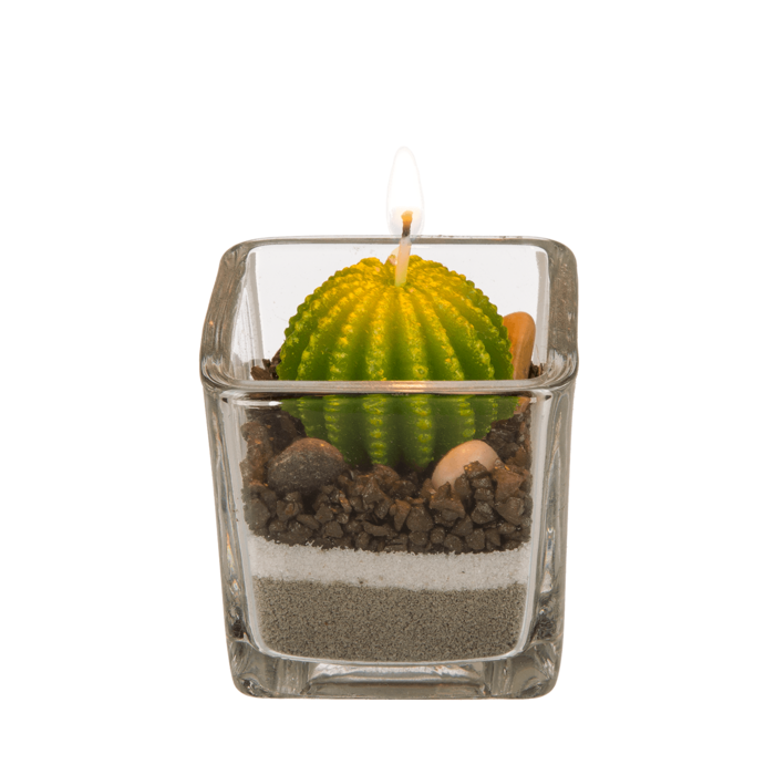 Candle in glass, Cactus with sand & stone deco, - Image 2