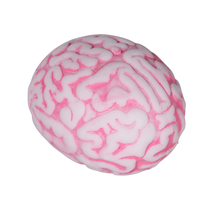 Squeeze ball, Brain, - Image 4