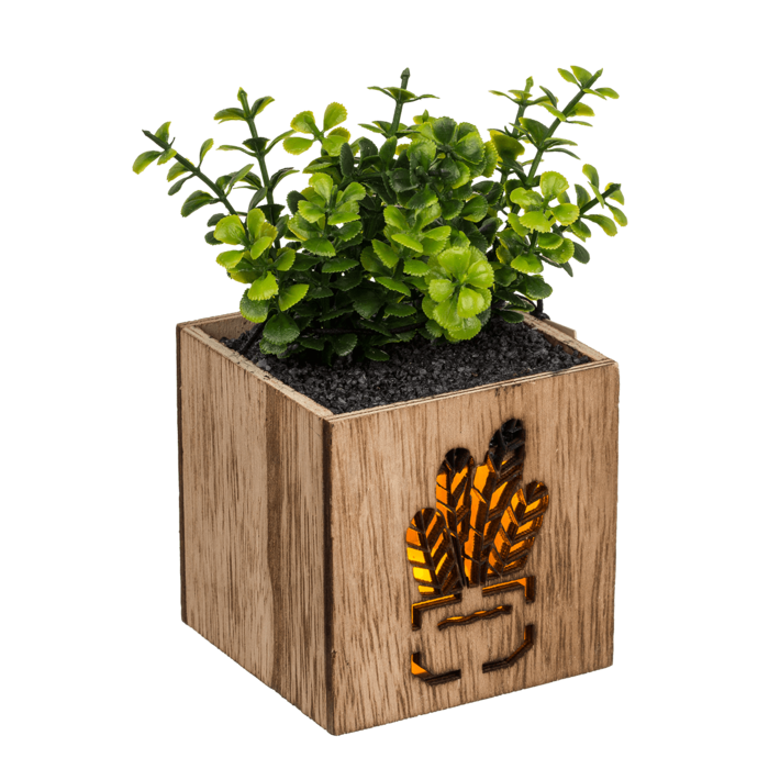 Deco Succulent, - Image 2