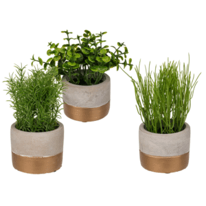 Decoration herbs in greygold coloured cement pot,