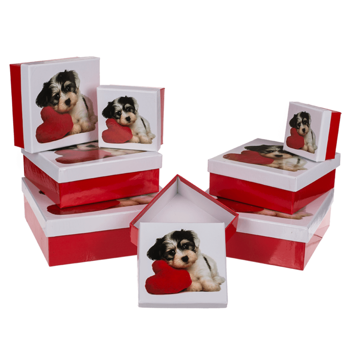 Red/white gift boxes, Dog with heart, - Image 2