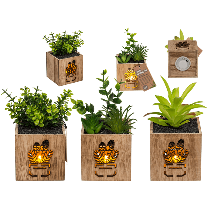 Deco Succulent,