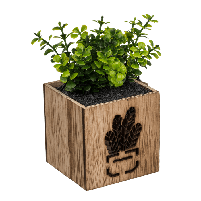 Deco Succulent, - Image 3