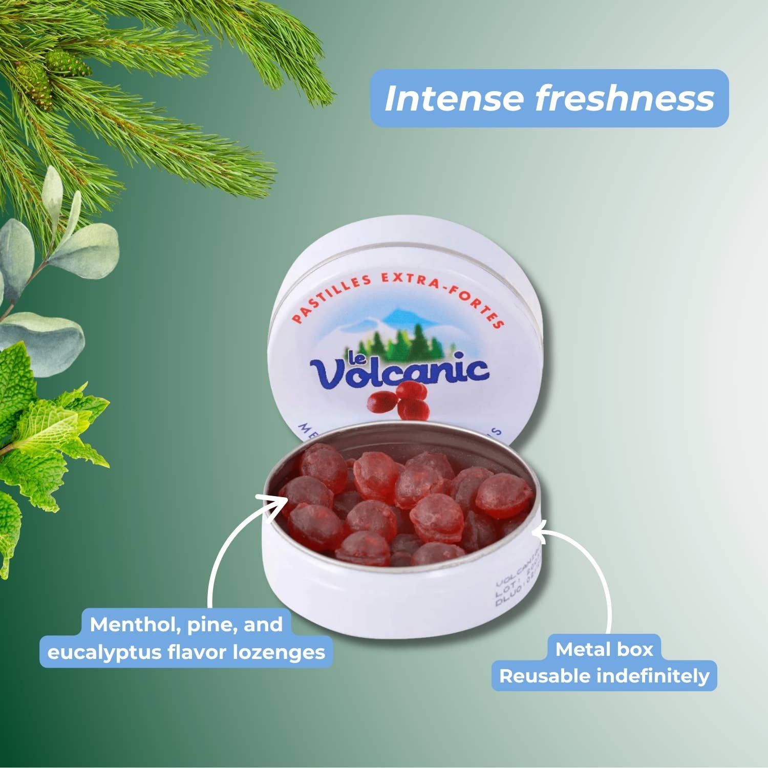Volcanic Pine Candies | Eucalyptus | 16g - Image 5