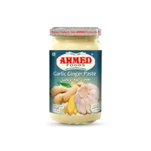 Paste Ginger Garlic 320 GMX 12
