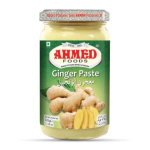 Paste Ginger 320 GM X 12